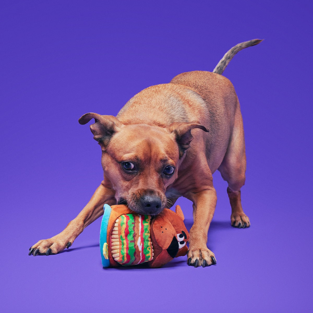 Snackin' ScoobyTM Plush Multi-Part + Enrichment Dog Toy