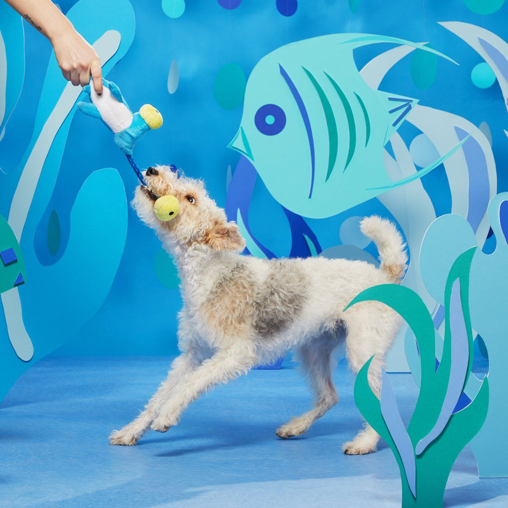 Hammerin' Hank the Shark Plush Tug Dog Toy