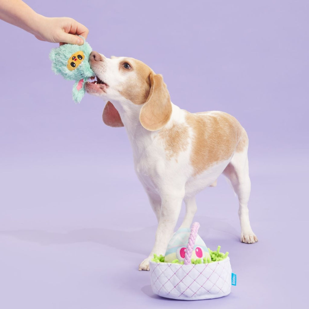 BARK Easter Bundle Plush Multi-Part + Tug + Enrichment Dog Toy