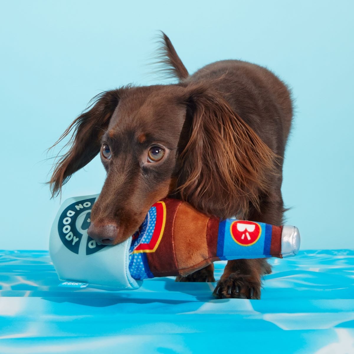 Boozy Doody Koozie Plush Multi-Part + Enrichment Dog Toy