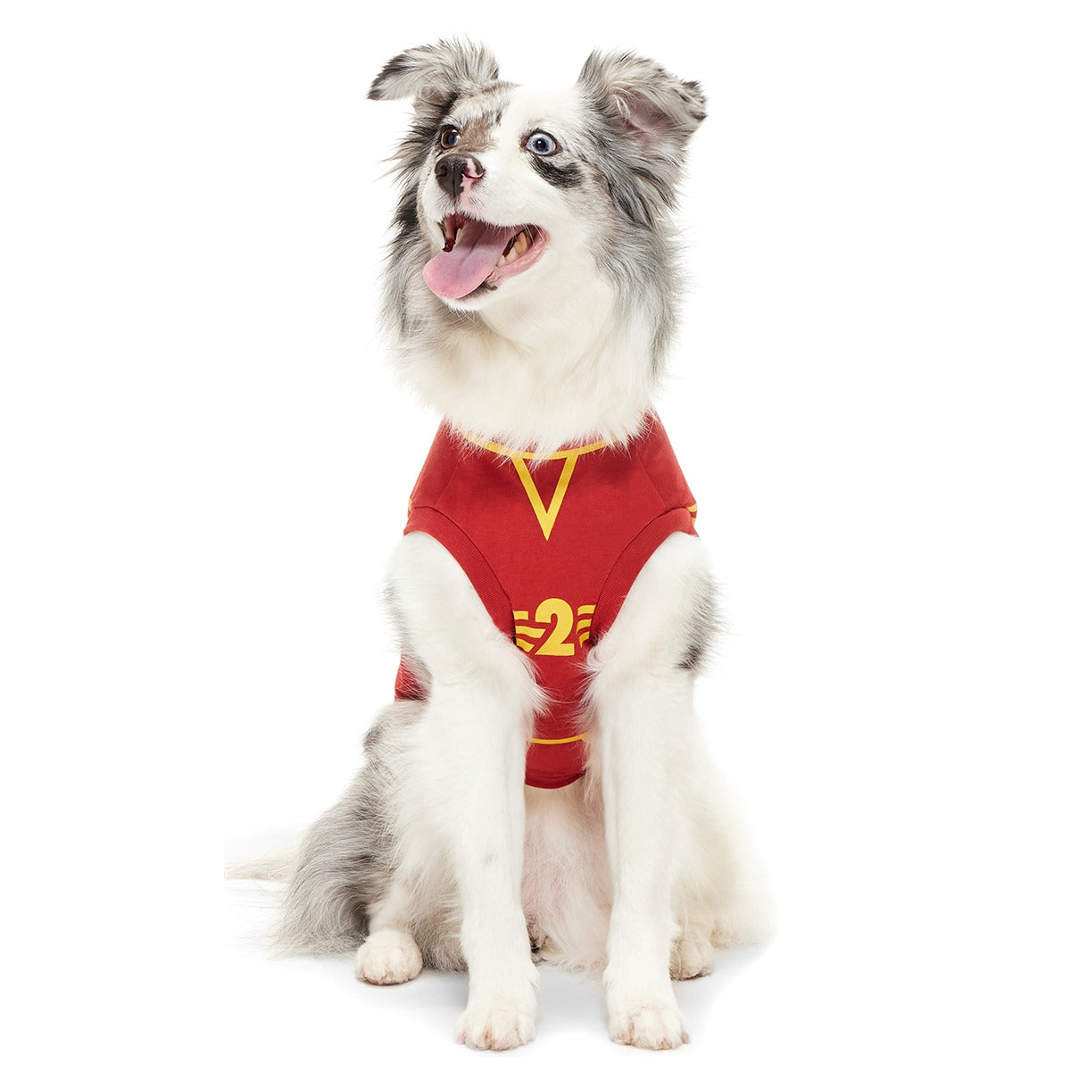 QuidditchTM Jersey