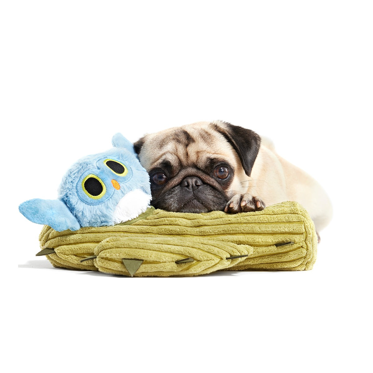 Saguaro Sammy Plush Multi-Part + Tug Dog Toy
