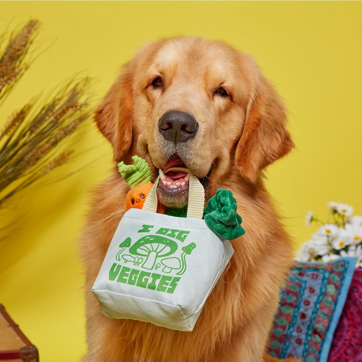 Dig These Veggies Plush Tug + Enrichment Dog Toy