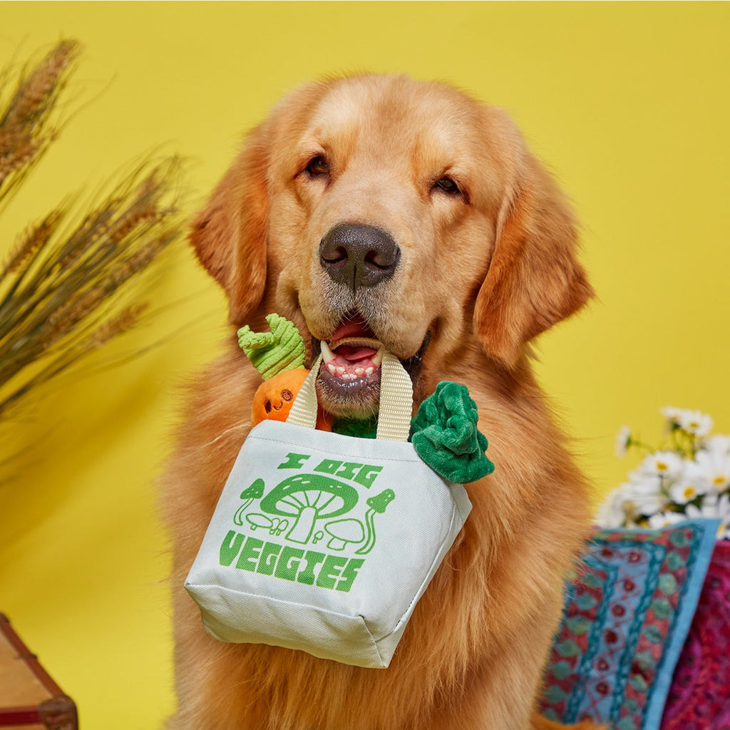 Dig These Veggies Plush Tug + Enrichment Dog Toy