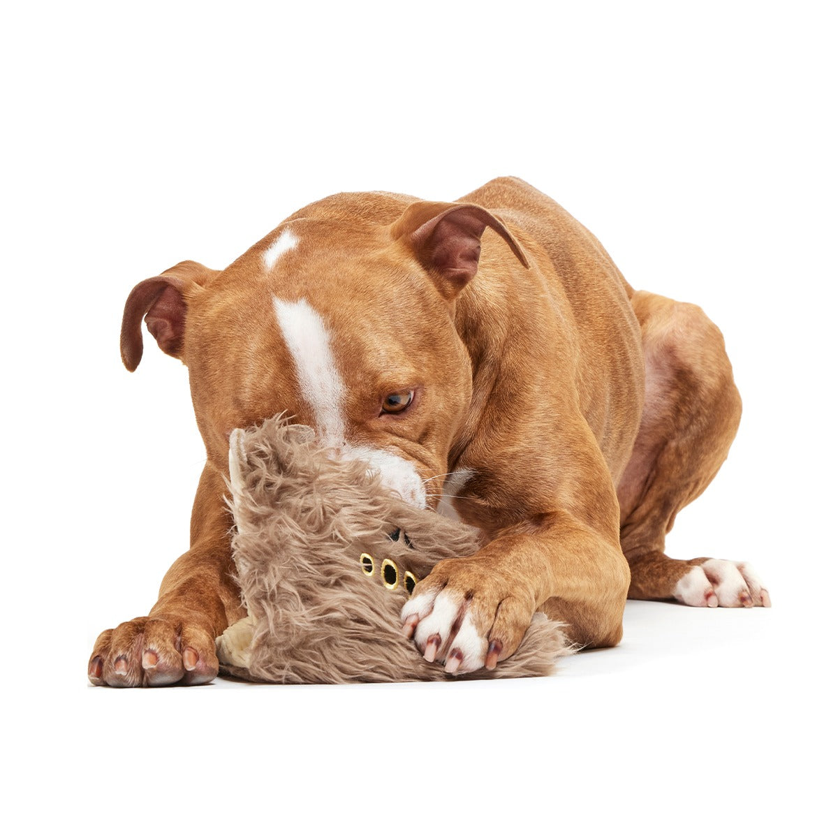 Monster Book of MonstersTM Plush Enrichment Dog Toy