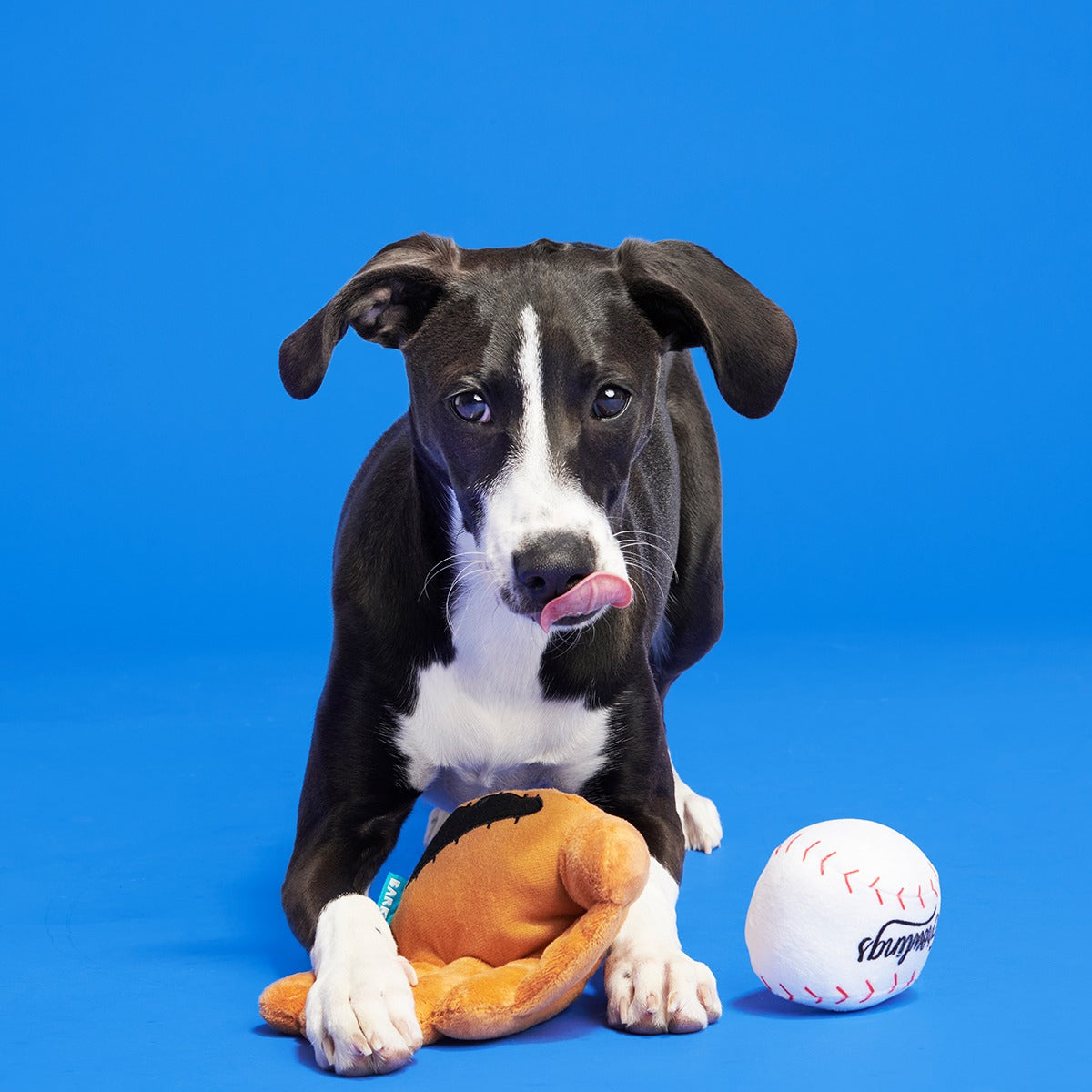 Growlings Baseball Glove Plush Multi-Part + Fetch Dog Toy