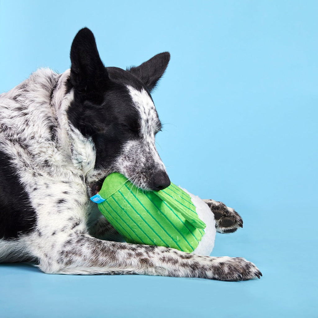 The Glass Is Greener Plush Tug Dog Toy