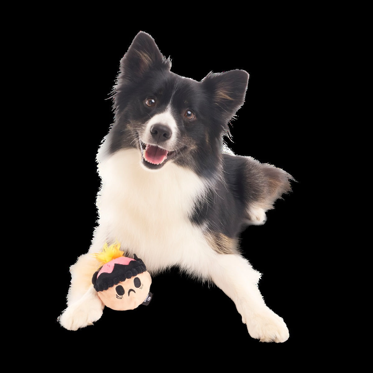Hot-Headed Harry Super Chewer Durable 2-in-1 + Fetch Dog Toy