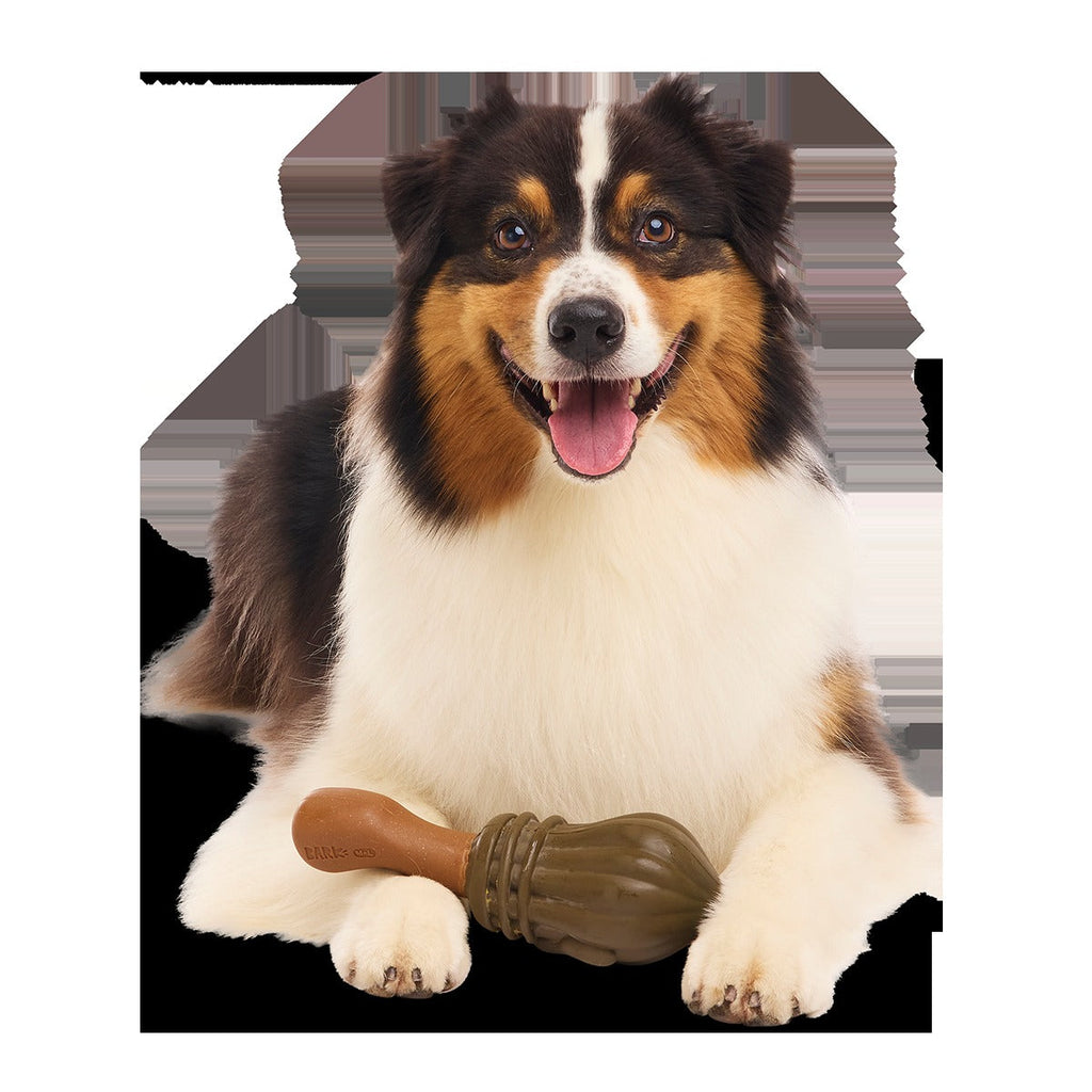 Nimbus 2000TM Super Chewer Durable Tug + Gnaw Dog Toy