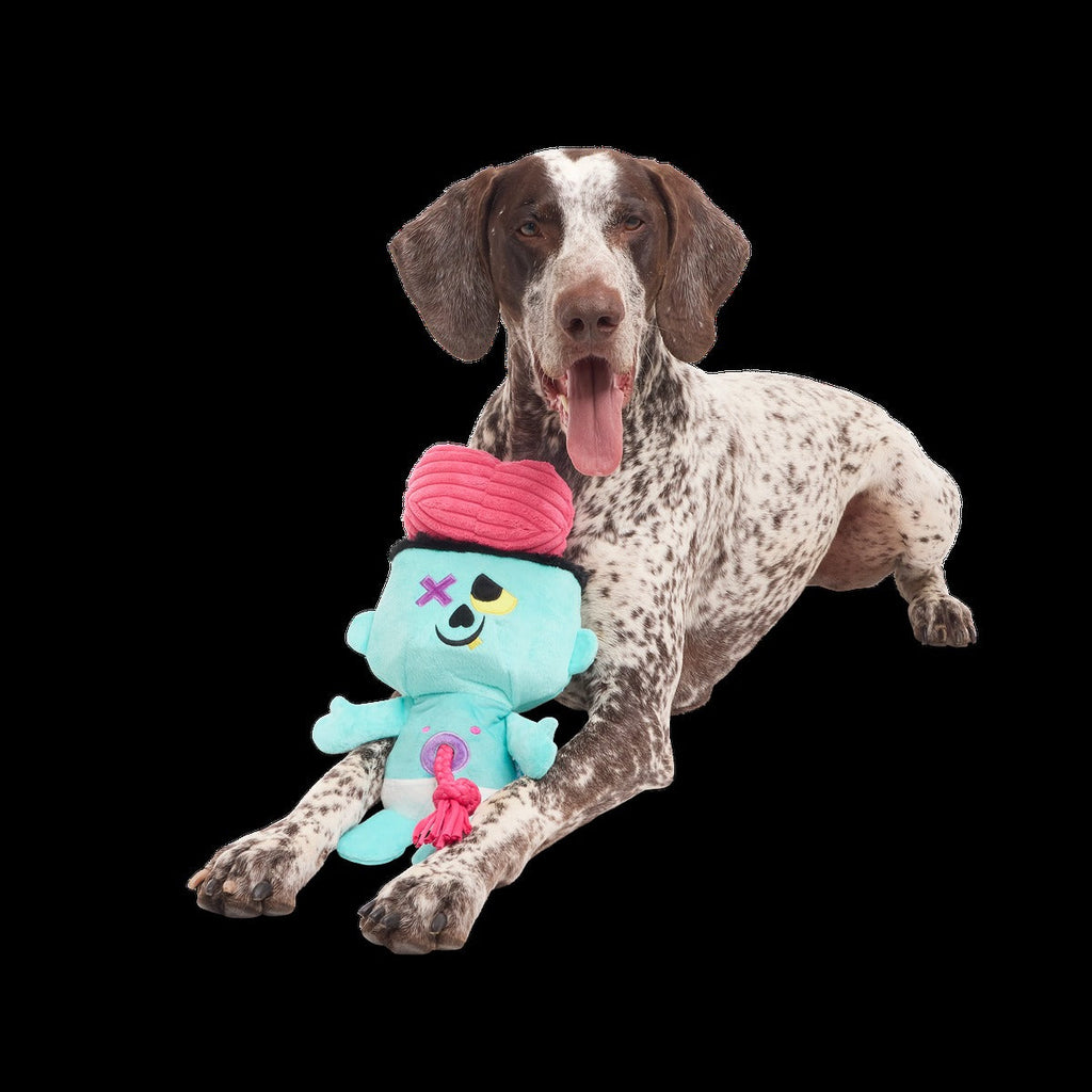 Ghoul-Ghoul Ga-Ga Plush Tug Dog Toy
