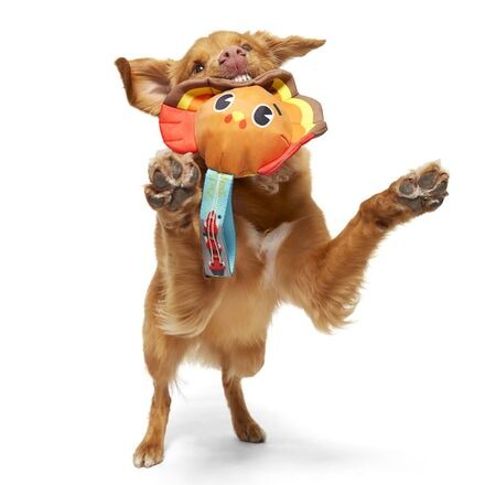 Turkey Tug Parade Durable Super Chewer Tug Dog Toy