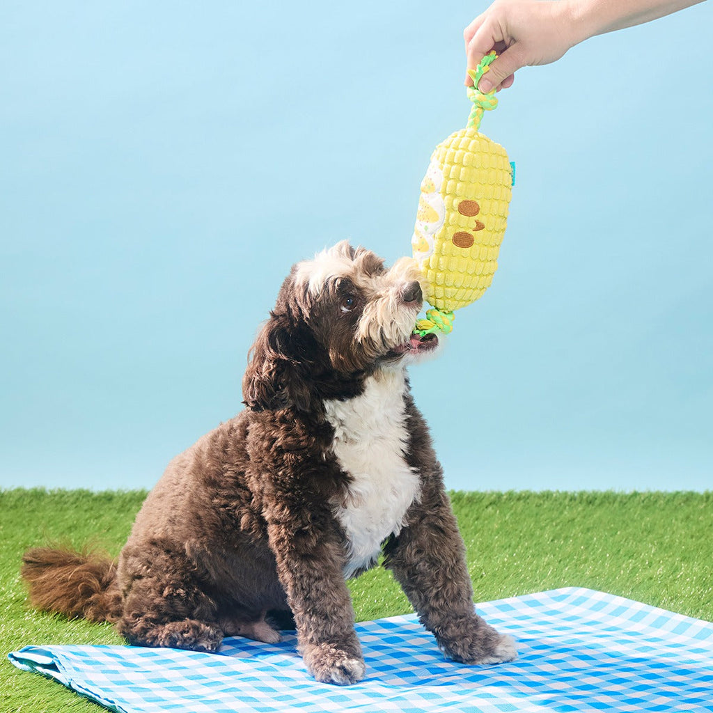 Corn on the Tug Plush Dog Toy