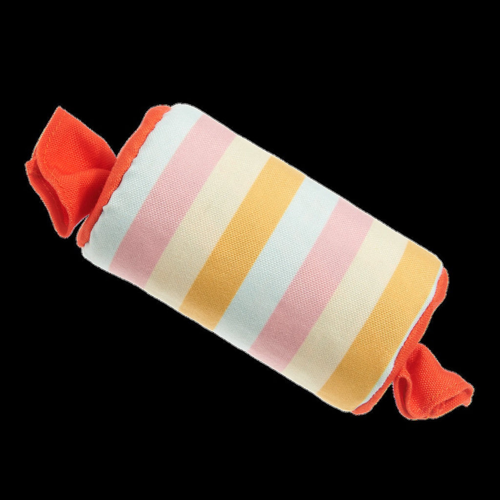 Throw-it-Alls Super Chewer Durable 2-in-1 + Enrichment Dog Toy