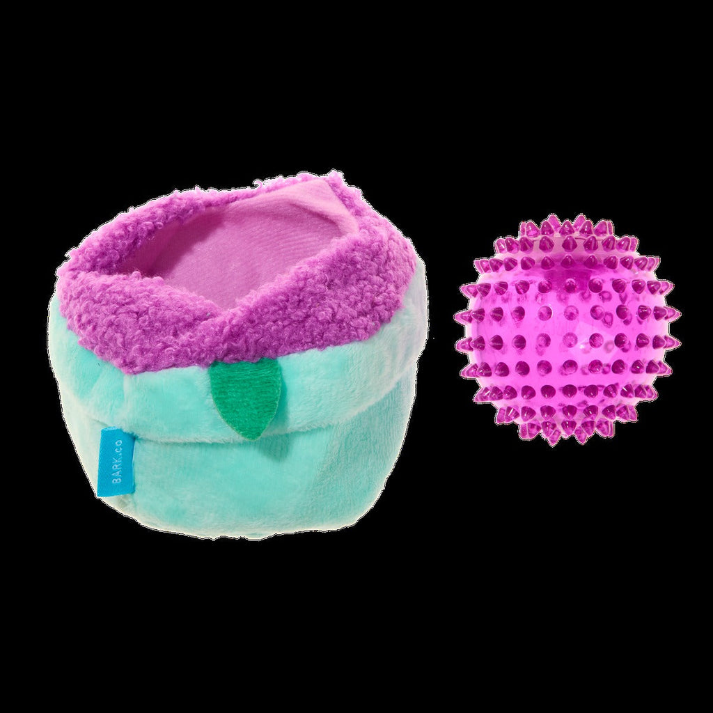 Blueberry Thrill Plush Multi-Part + Fetch + Enrichment Dog Toy