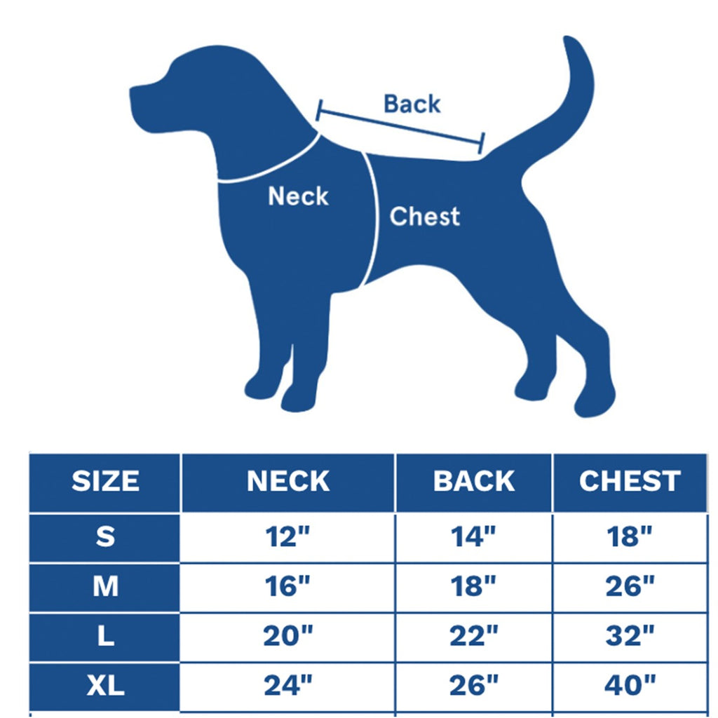 Skeleton Dog Hoodie
