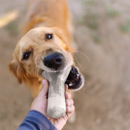Fetch Stick Durable Super Chewer Dog Toy