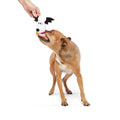 The Amazing BatDog Plush Tug Dog Toy