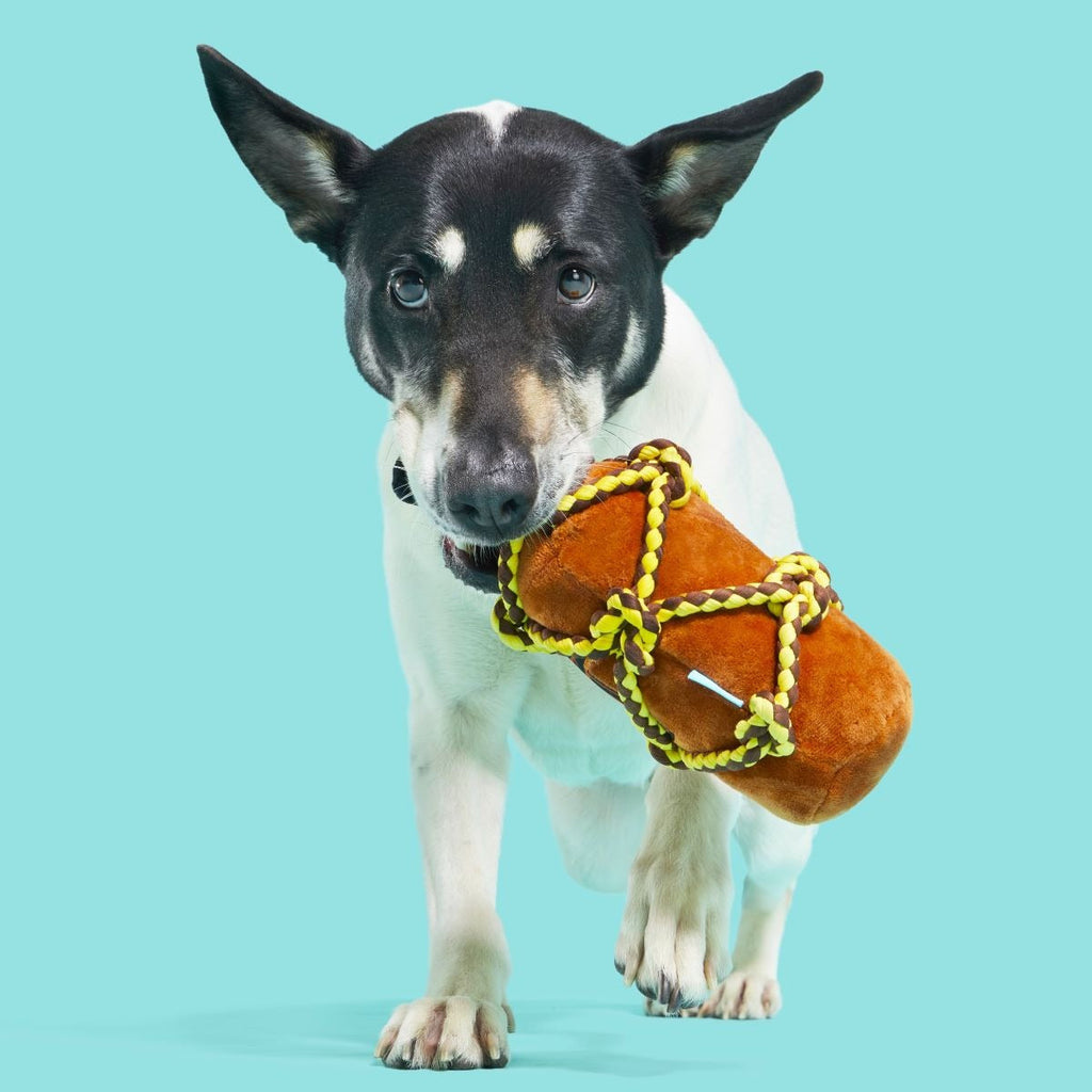 Barkbeard's Rum Plush Tug Dog Toy