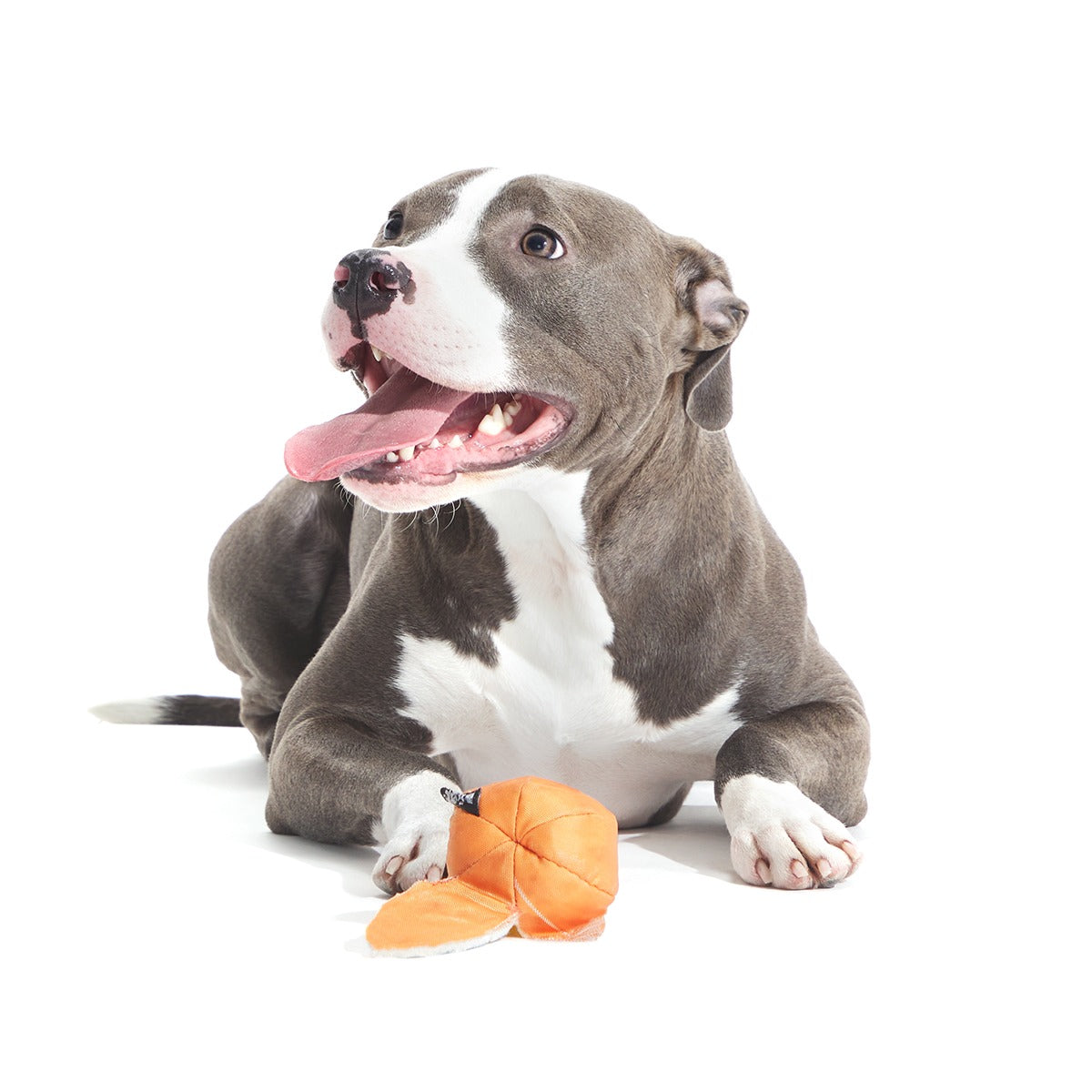 Orange Crush Super Chewer Durable 2-in-1 + Fetch Dog Toy
