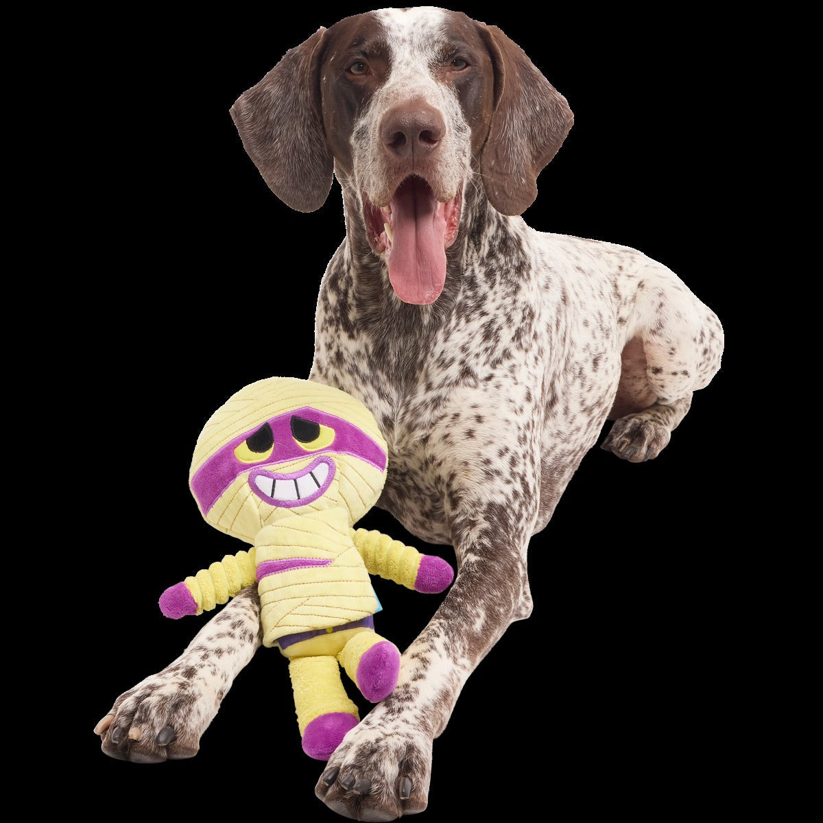 Unravelin’ Evan Plush Extra Large + Tug Dog Toy