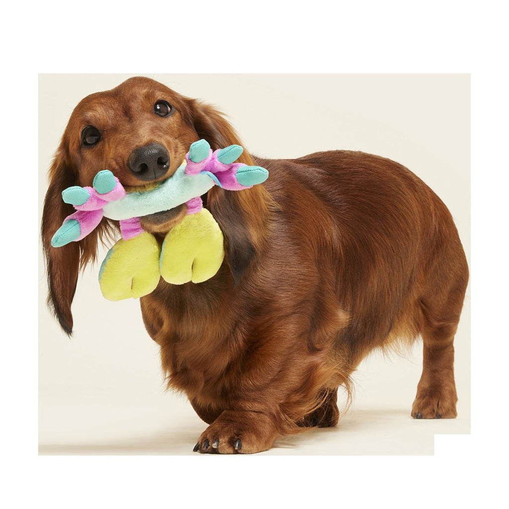 Moe The Mosaic Crab Plush Tug Dog Toy