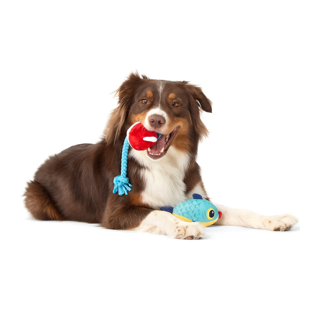 Hook Line and Squeaker Plush Multi-Part + Tug Dog Toy