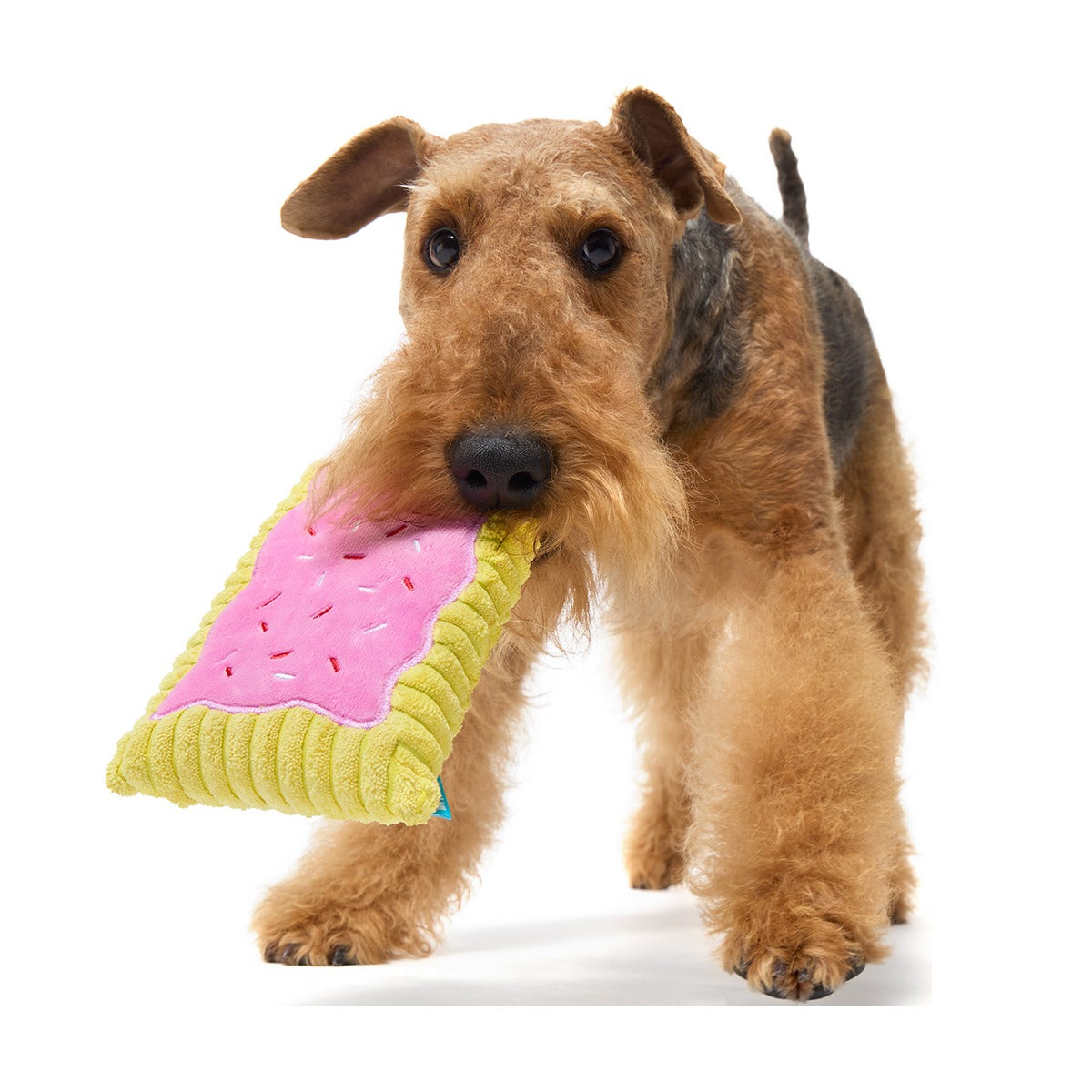 Pup Tart Plush Tug Dog Toy