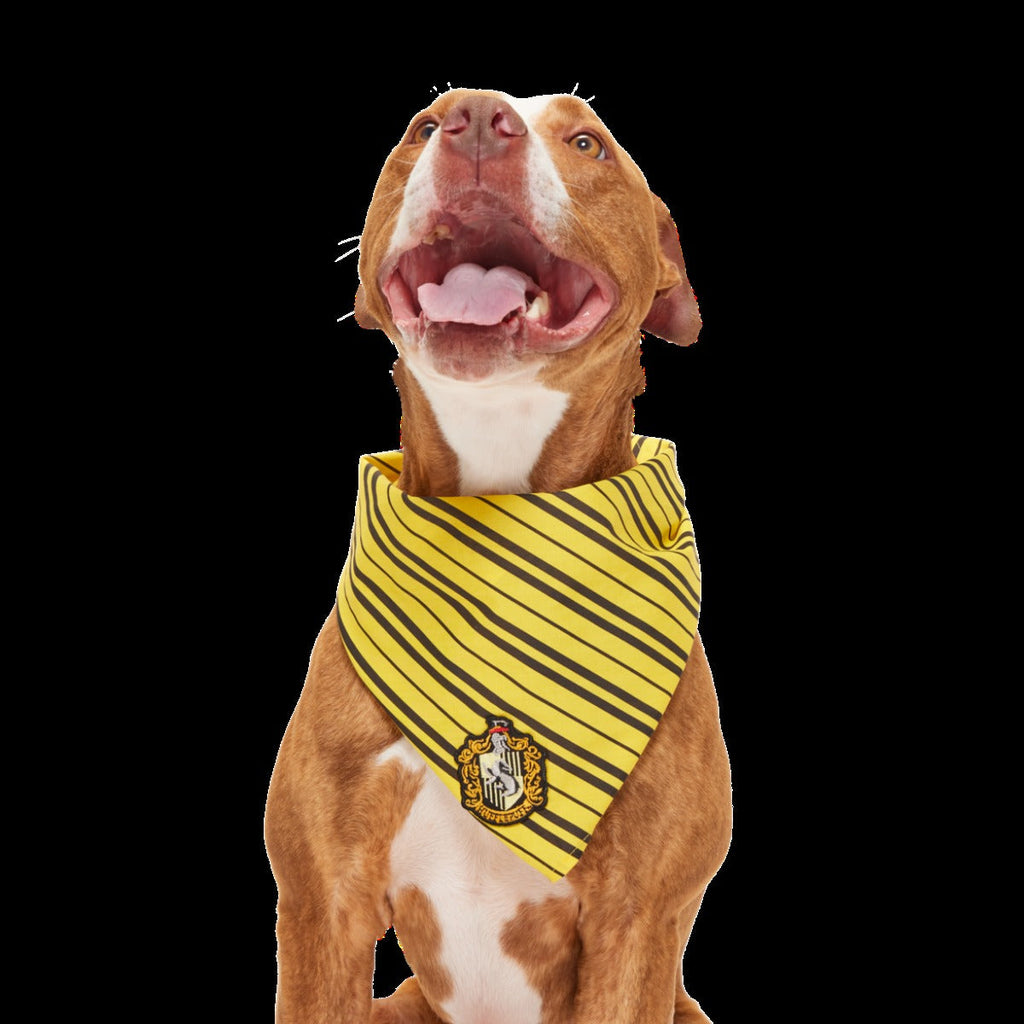 HARRY POTTERTM House Dog Bandana