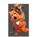 Scooby-Dooby-DooTM Plush Extra-Large Tug Dog Toy