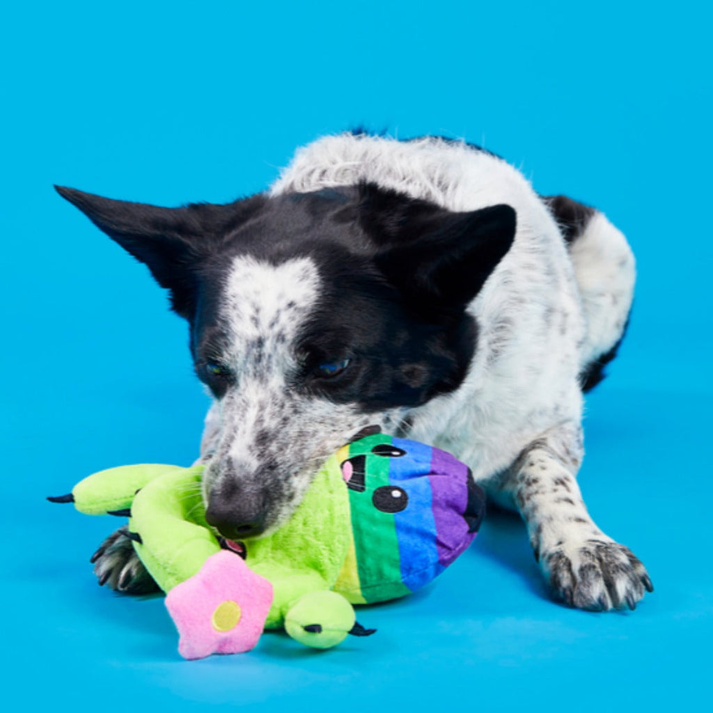 Consuela Comes Out Plush 2-in-1 + Tug Dog Toy