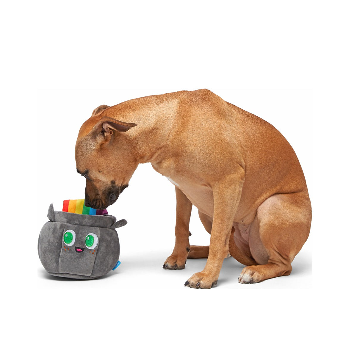 St. Pup's Pot o' Gold Plush Tug + Enrichment Dog Toy