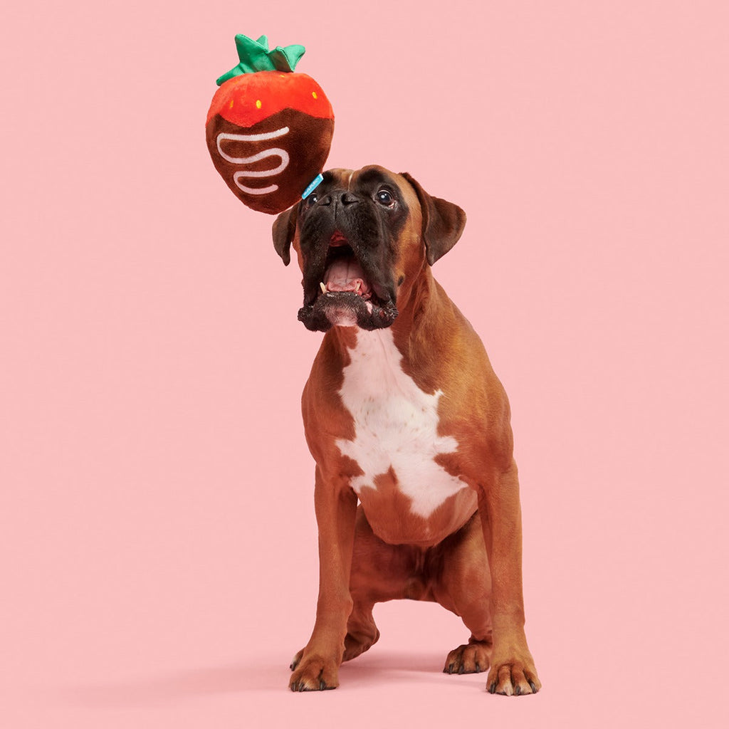 Chocolate Slobber Strawberry Plush Fetch Dog Toy
