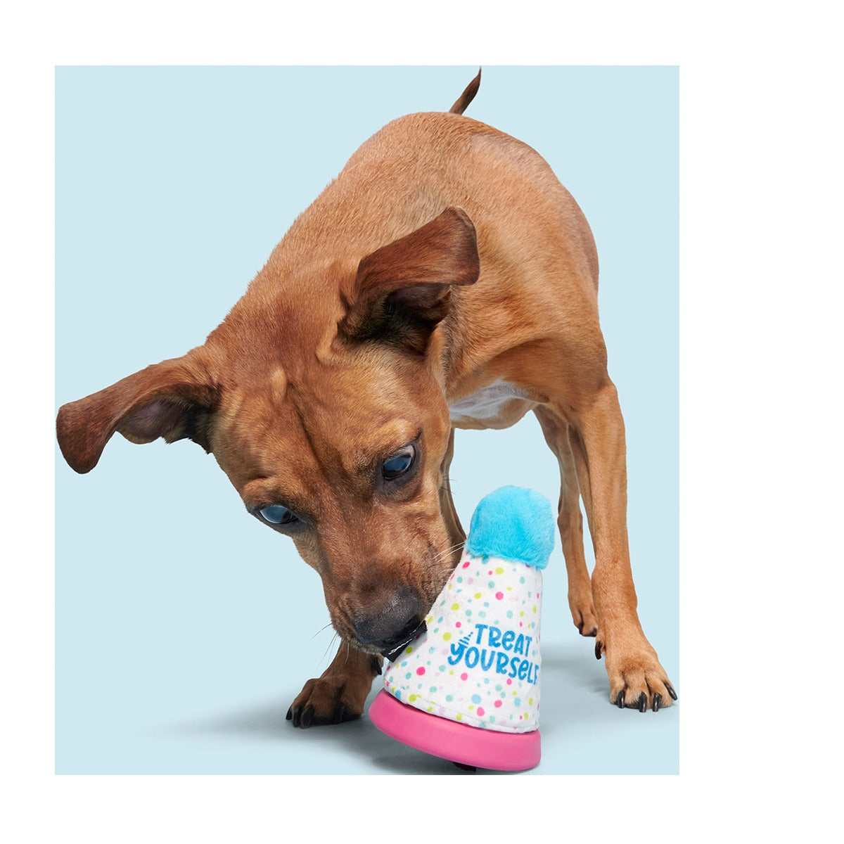 Treat Yourself Party Hat Super Chewer Durable 2-in-1 + Enrichment Dog Toy