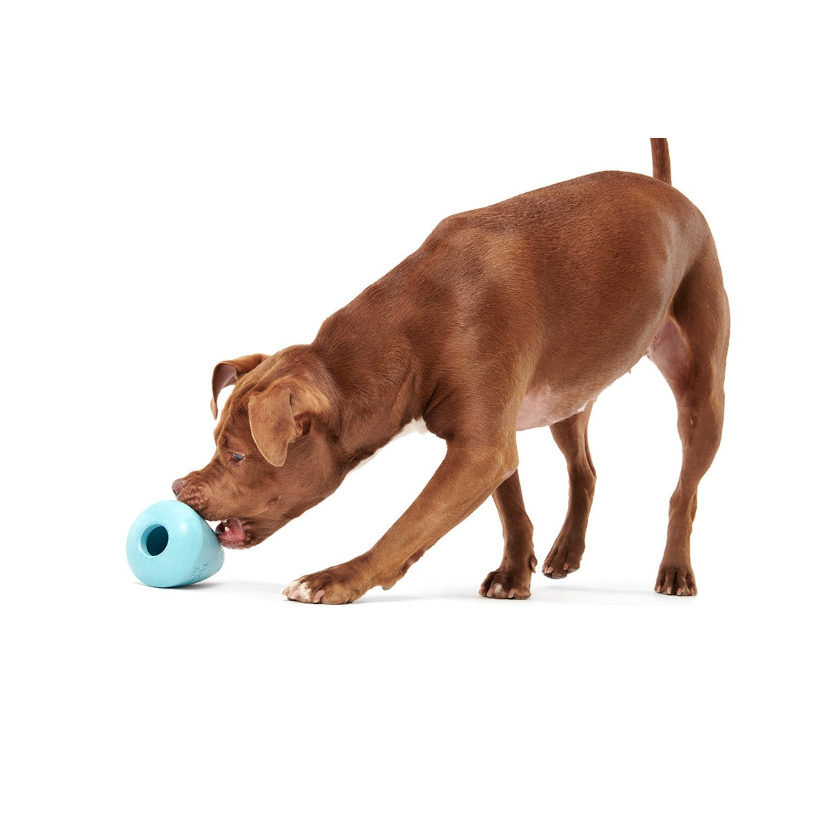 Titan Super Chewer Durable Enrichment Dog Toy