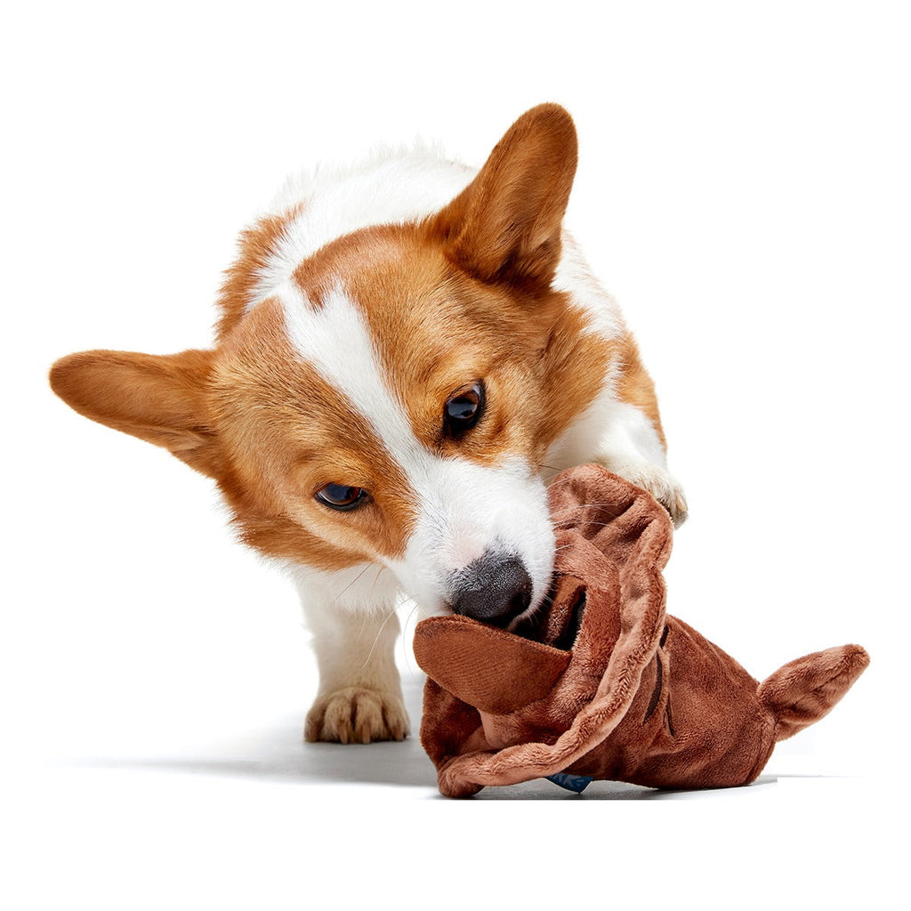 The Sorting HatTM Plush 2-in-1 + Fetch Dog Toy