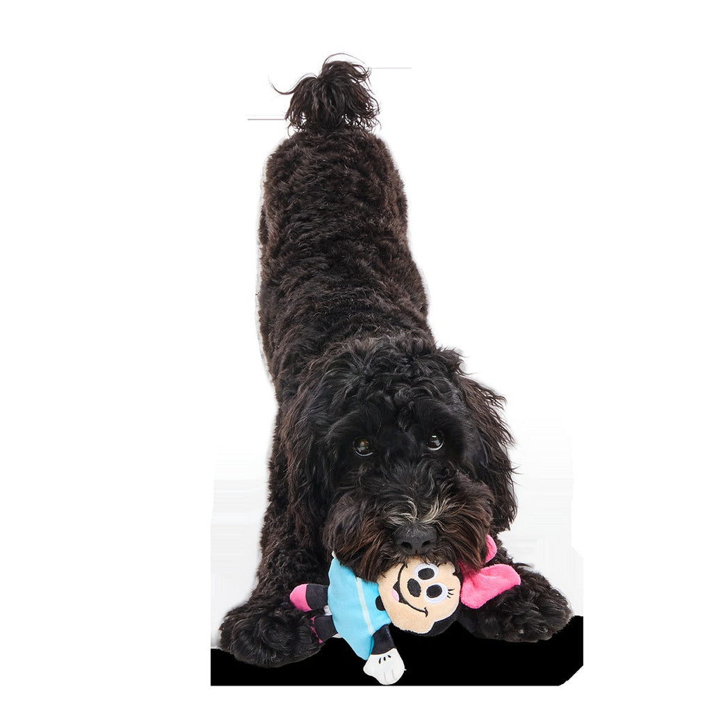 My Pal Minnie Plush Tug Dog Toy