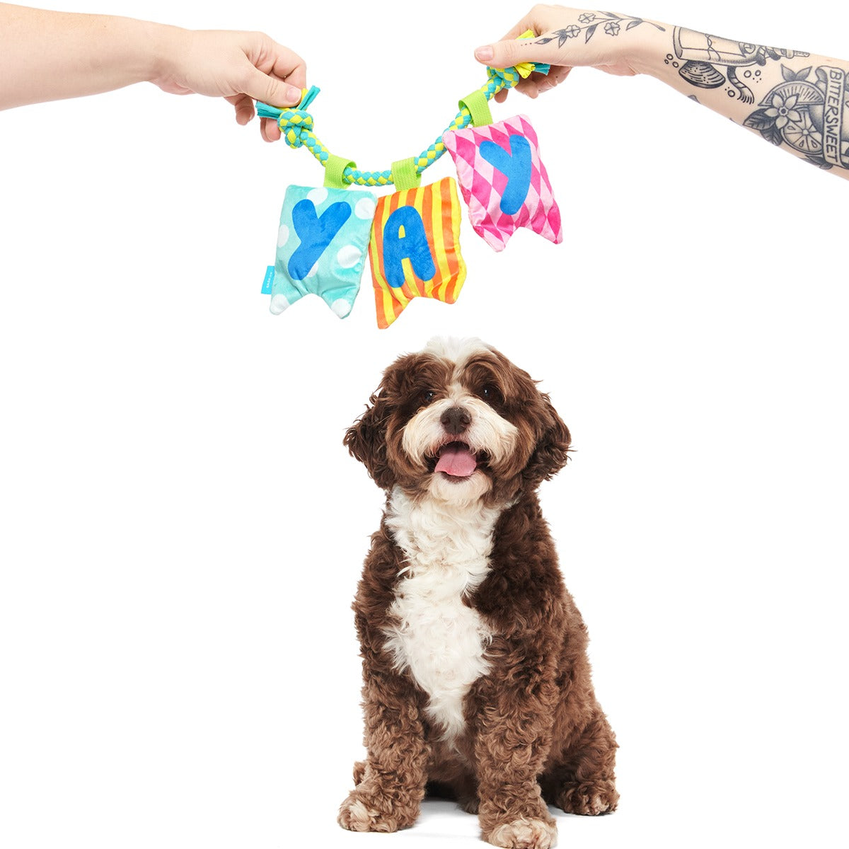 Happy Yay Banner Plush Tug Dog Toy