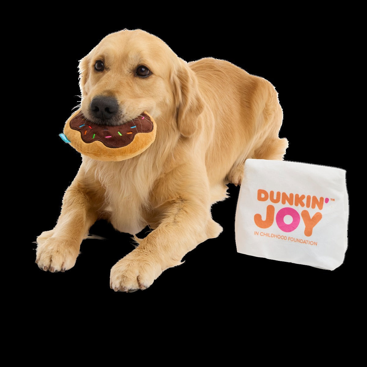 Dunkin'® Chocolate Frosted Donut Plush Multi-Part Dog Toy