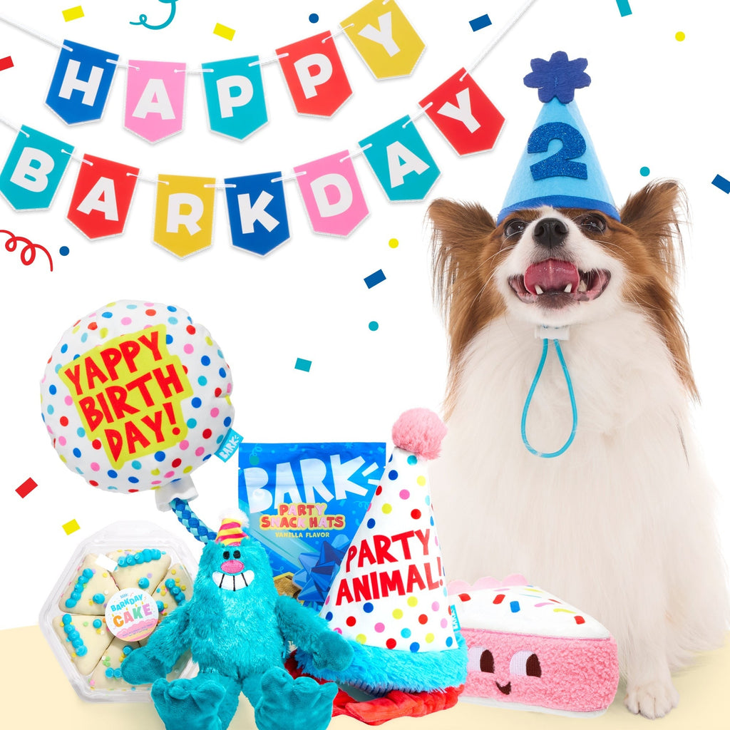 Birthday Classic Plush Gift Box