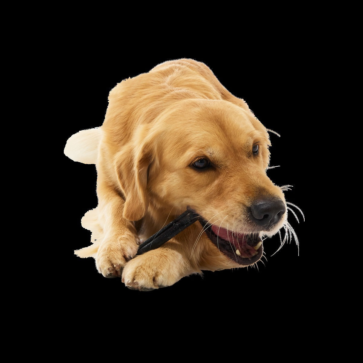 Beef Collagen Dog Chews, 5 Ct