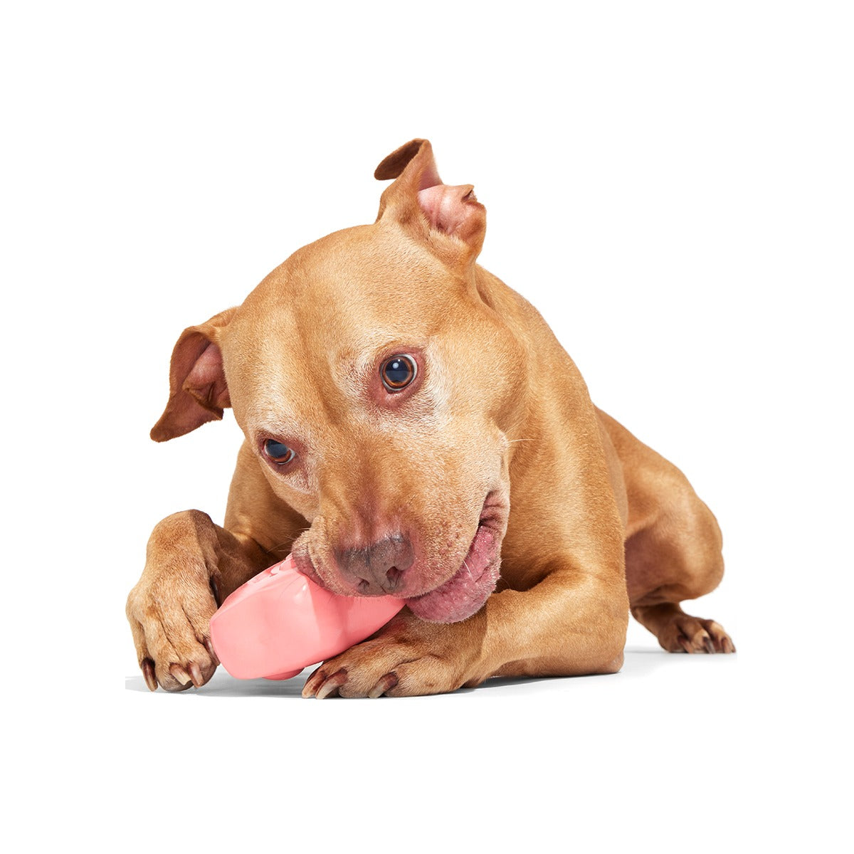 Goofy Goober Patrick Super Chewer Durable Fetch Dog Toy
