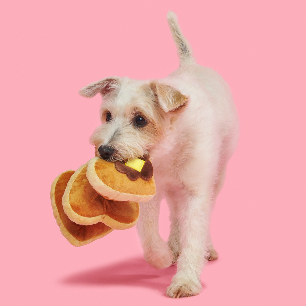 Love Stack Plush Tug Dog Toy