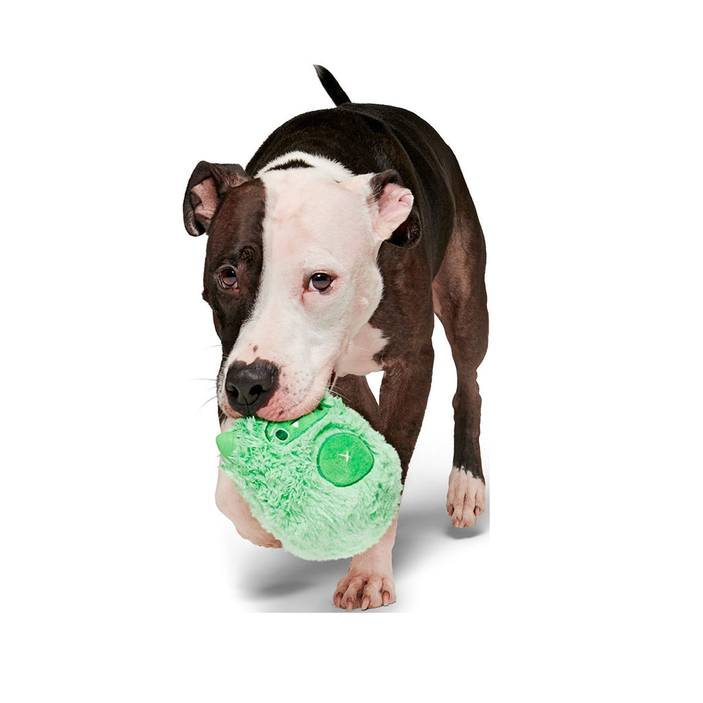 Jolly Green Ice Beast Super Chewer Durable 2-in-1 Dog Toy