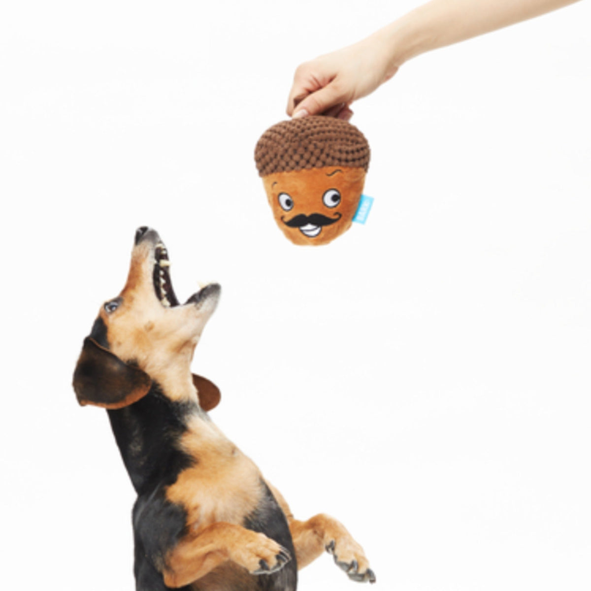 Monsieur Acorn Plush 2-in-1 Rip and Reveal Dog Toy
