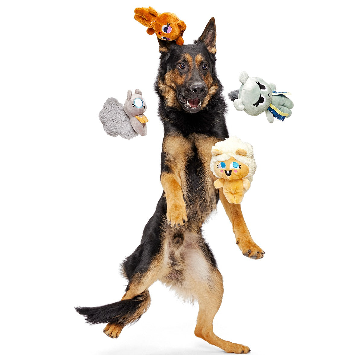 Golden Squirrels Plush Multi-Part Dog Toy