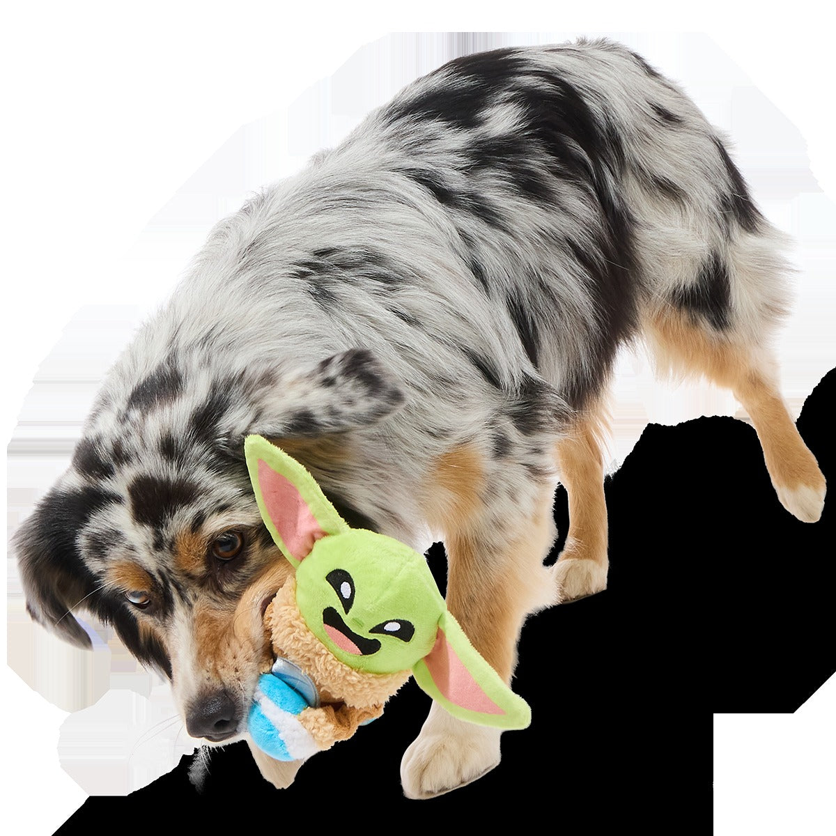 Snack Time GroguTM Plush Tug Dog Toy
