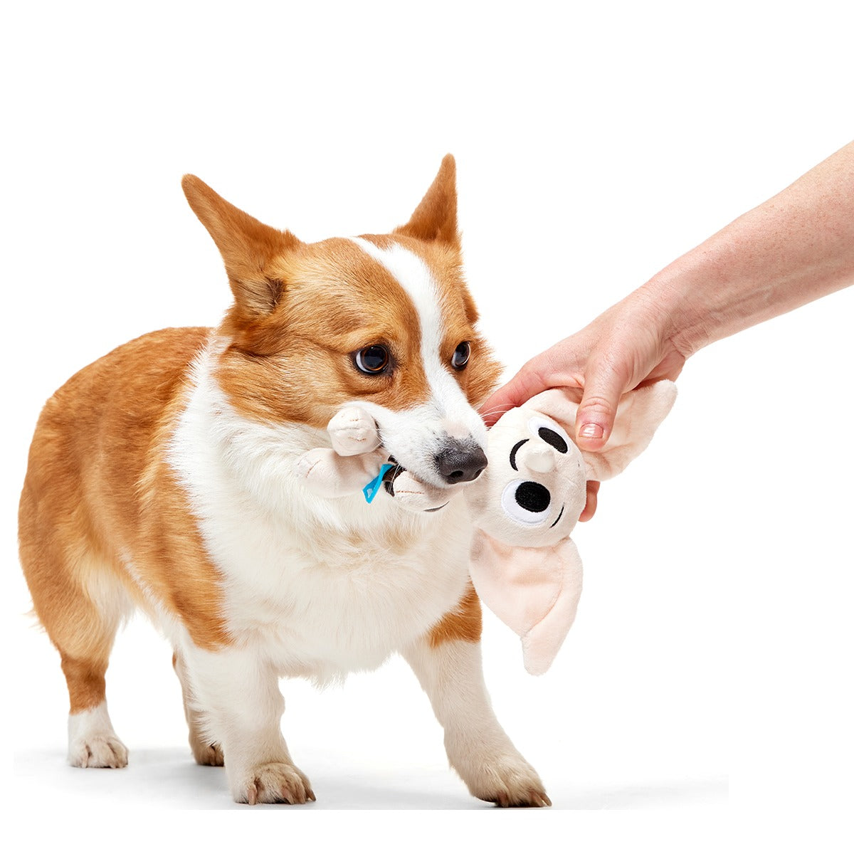 DobbyTM Plush 2-in-1 + Tug Dog Toy