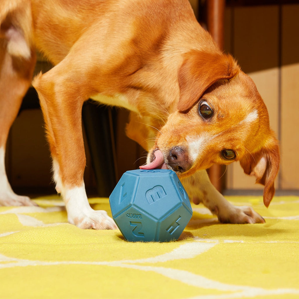 Roll + Play Dice Super Chewer Durable Fetch + Enrichment Dog Toy