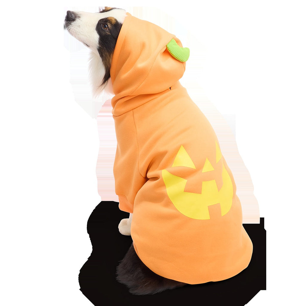 Jack O'Lantern Dog Hoodie