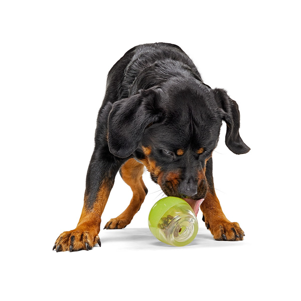 Tipsy Margarita Super Chewer Durable Enrichment Dog Toy